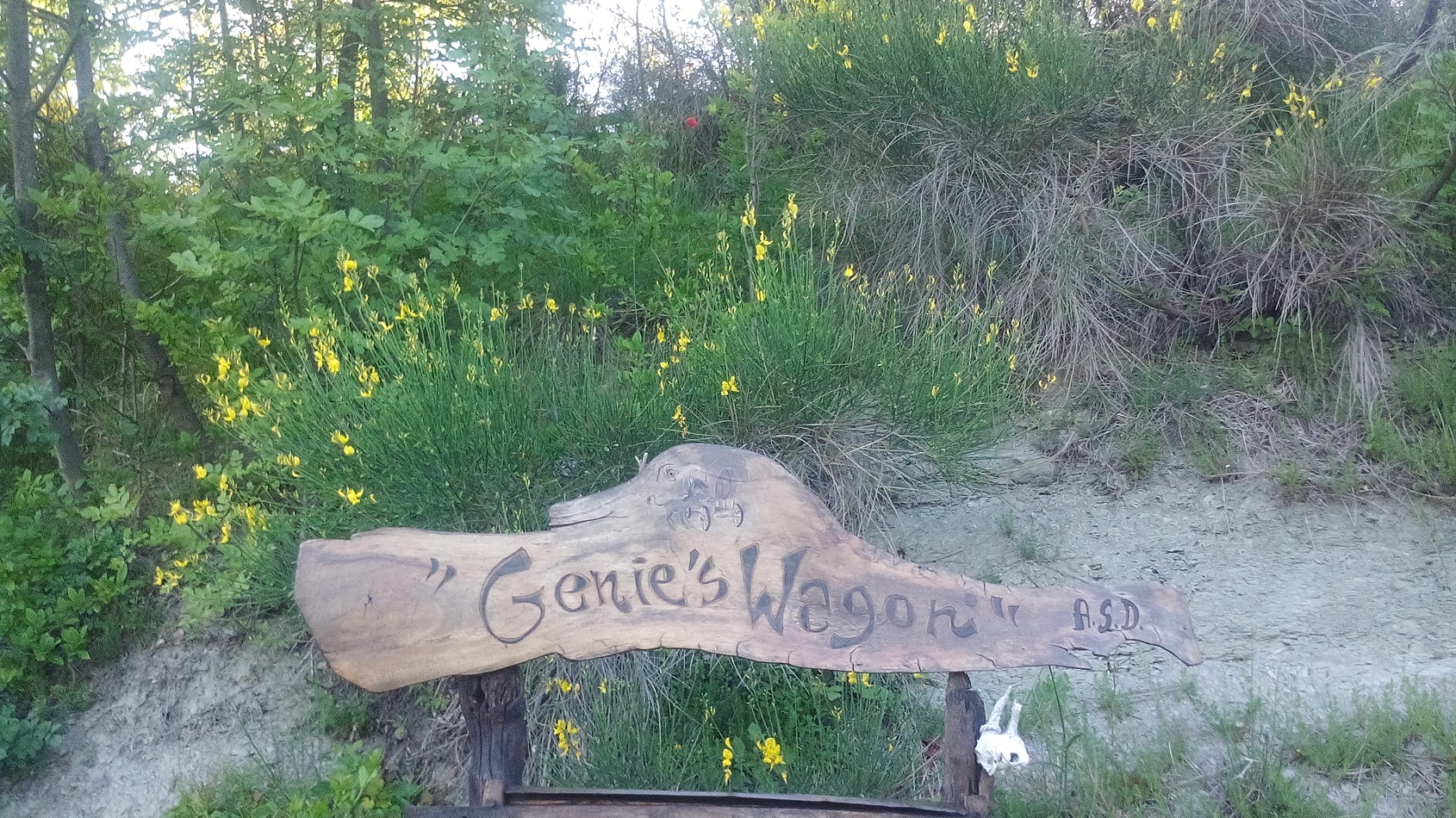 ASD Genie's Wagon